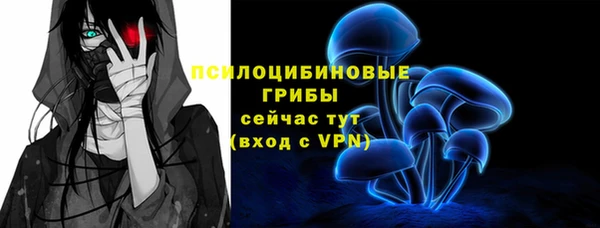 сатива Абдулино