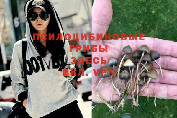 сатива Абдулино