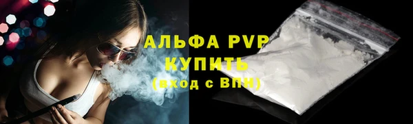 шишки Абинск