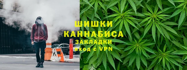 шишки Абинск