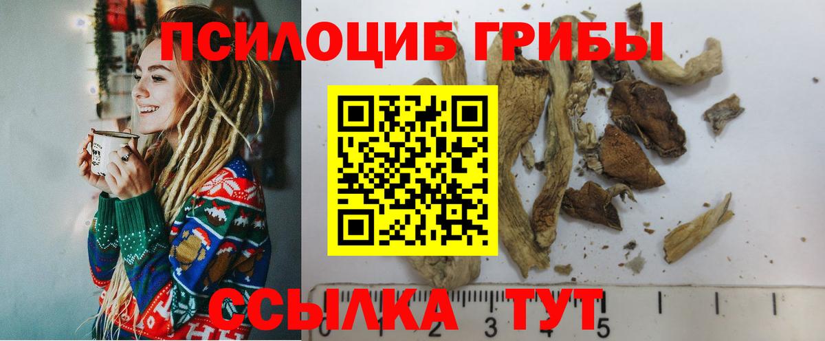 закладки  Вход с VPN  Бийск  Галлюциногенные грибы прущие грибы 