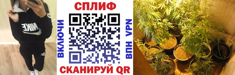 Бошки Шишки THC 21%  Бийск 